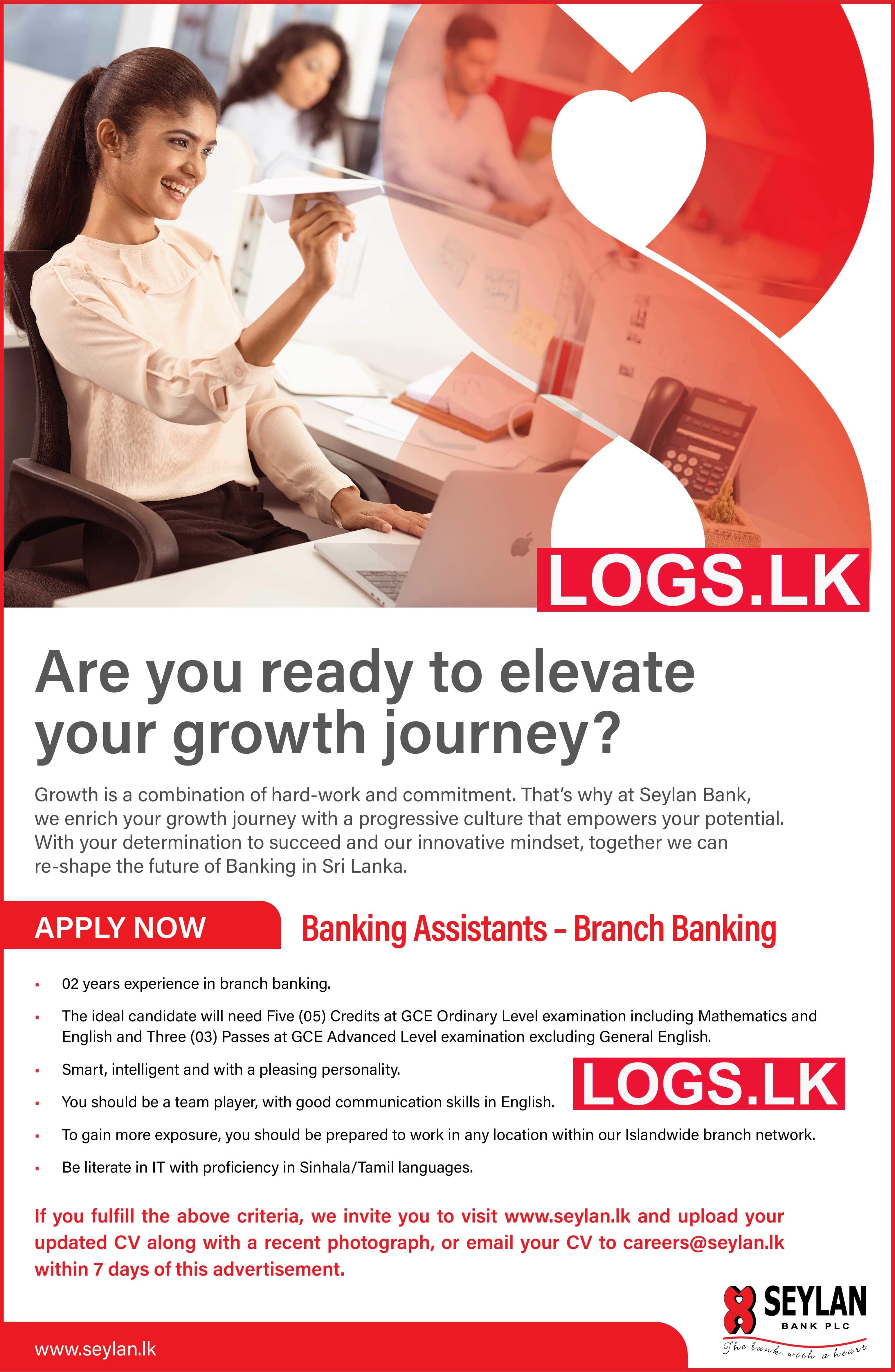 Banking Assistant Job Vacancies 2023 at Seylan Bank Job Vacancies Application Form, Details Download