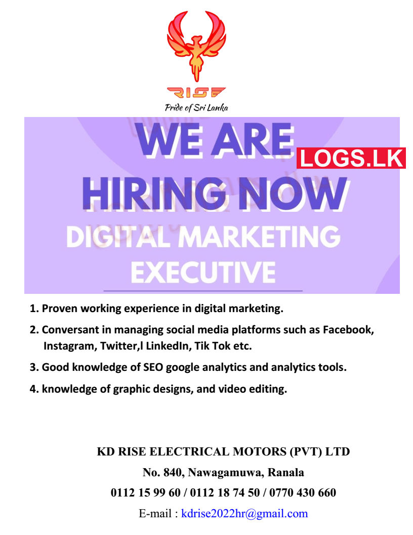 Digital Marketing Executive Vacancy at KD Rise Electrical Motors Jobs Vacancies