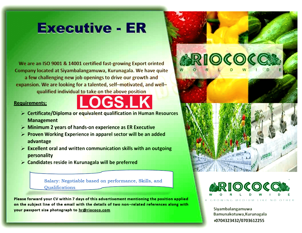 Executive (ER) Job Vacancy at Riococo Lanka (Pvt) Ltd Job Vacancies