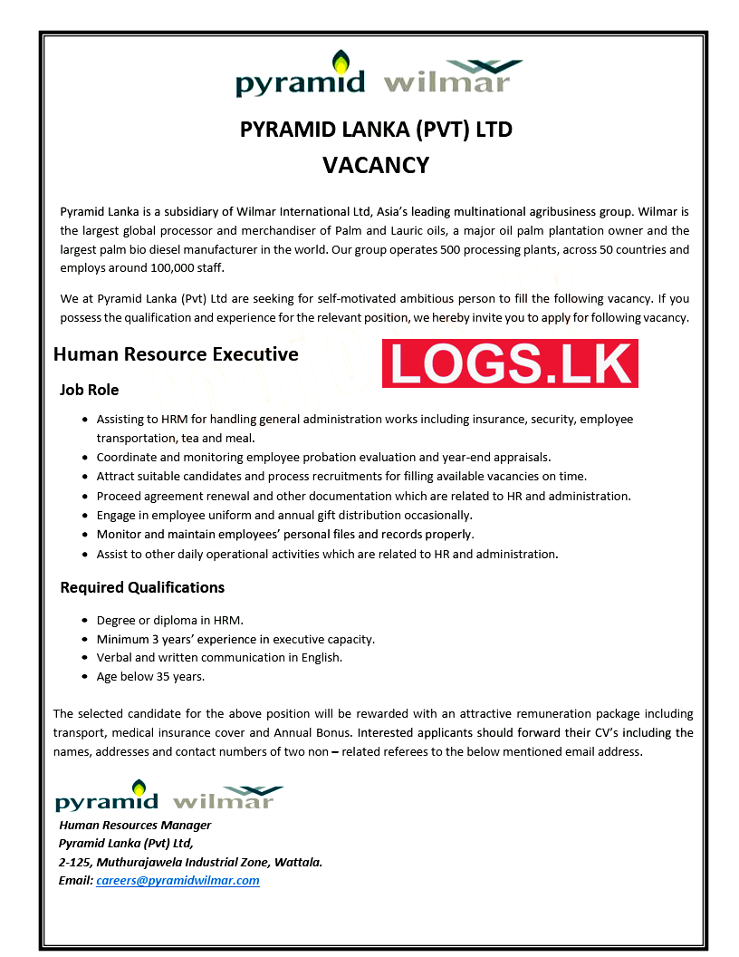 Human Resource Executive Vacancy at Pyramid Lanka (Pvt) Ltd Job Vacancies