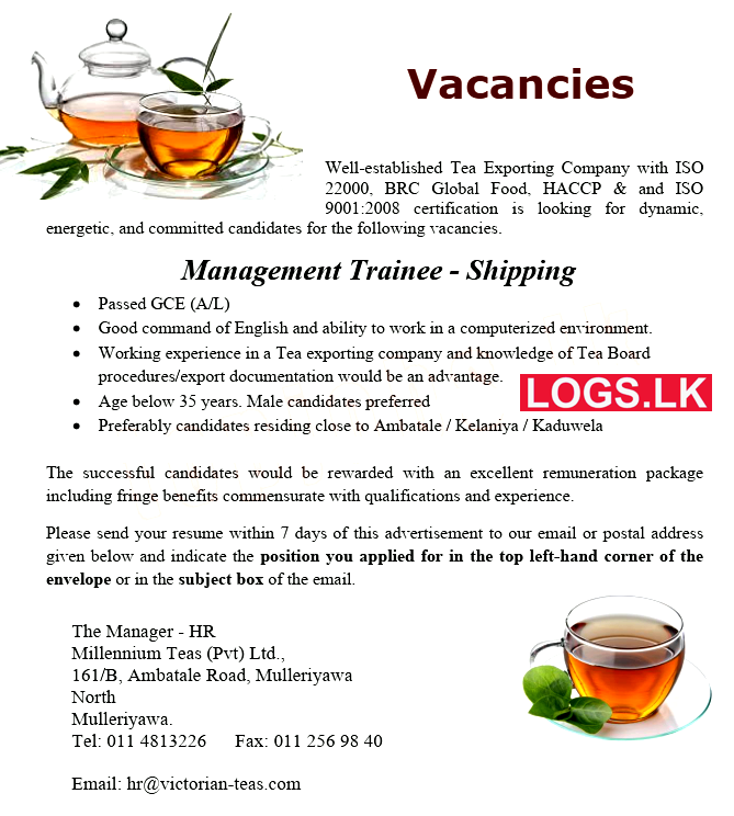 Management Trainee Job Vacancy at Millennium Teas (Pvt) Ltd Company Sri Lanka